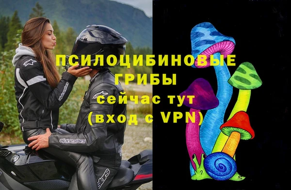 молекула духа Балабаново