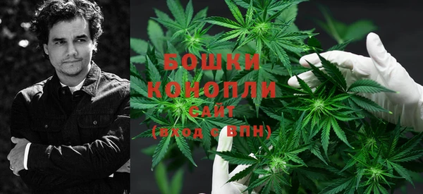 ПСИЛОЦИБИНОВЫЕ ГРИБЫ Аркадак
