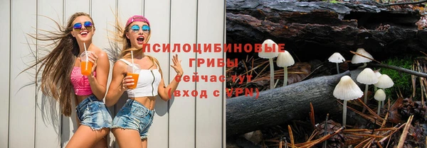 ПСИЛОЦИБИНОВЫЕ ГРИБЫ Аркадак